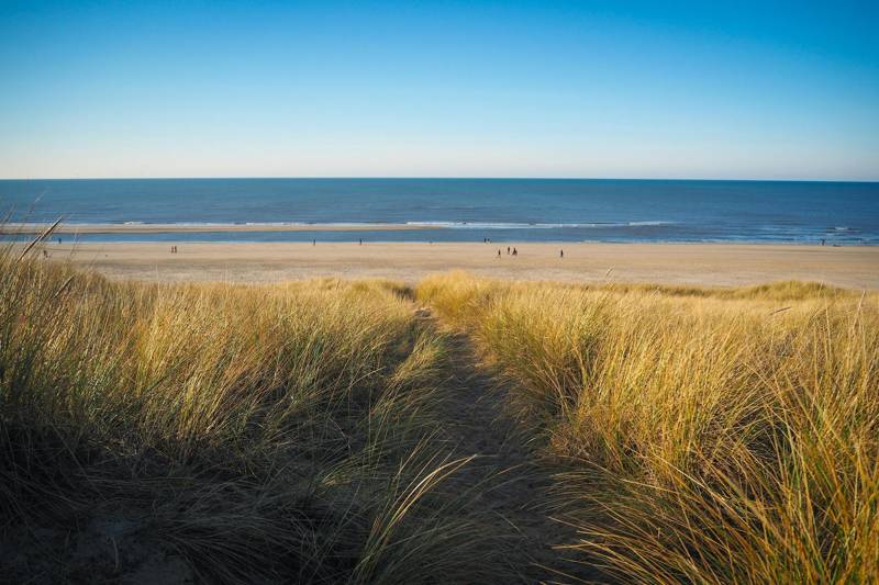Urlaub am meer Callantsoog